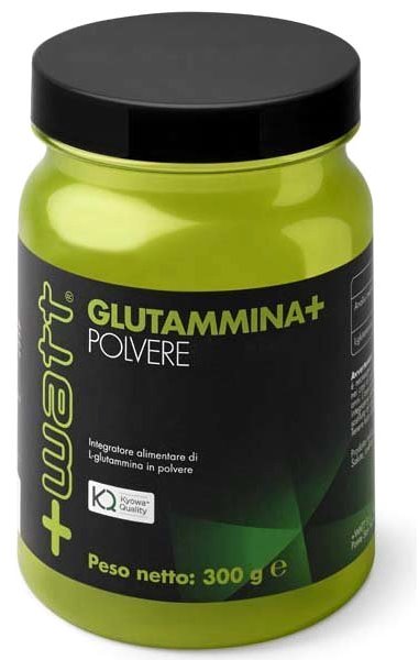 GLUTAMMINA+ POLVERE 300 G - Newepa Srl