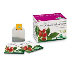INFUSO BIO FRUTTA FRUTTI DI BOSCO 20 FILTRI - Newepa Srl