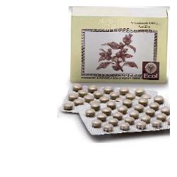 CIMICIFUGA 50 TAVOLETTE 500 MG - Newepa Srl