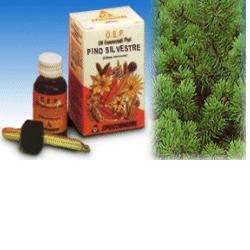 PINO SILVESTRE OLIO ESSENZIALE PURO 10 ML - Newepa Srl