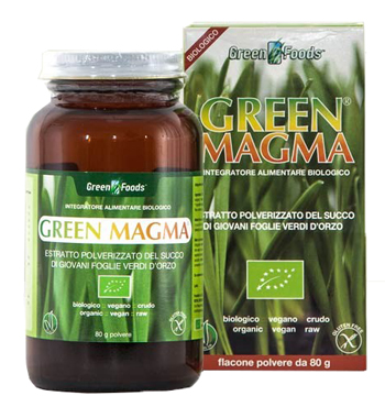 GREEN MAGMA POLVERE 80 G - Newepa Srl