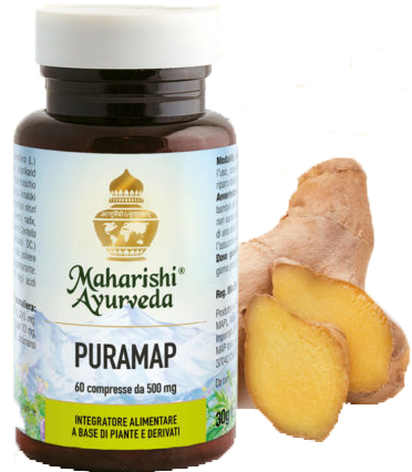 PURAMAP 60 COMPRESSE - Newepa Srl