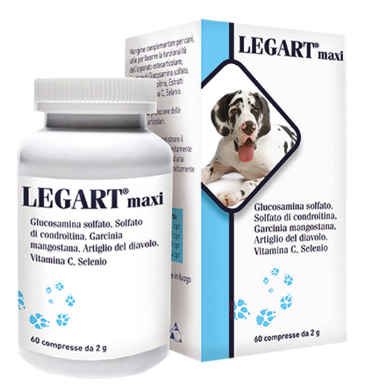 LEGART MAXI 60 COMPRESSE 2 G - Newepa Srl