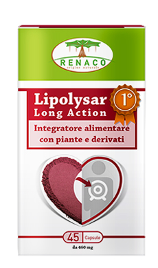 LIPOLYSAR LONG ACTION 45 CAPSULE - Newepa Srl