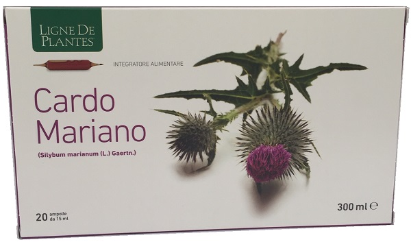 CARDO MARIANO 20 AMPOLLE BEVIBILI DA 15 ML - Newepa Srl
