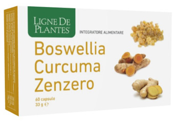 BOSWELLIA CURCUMA ZENZERO 60 CAPSULE - Newepa Srl