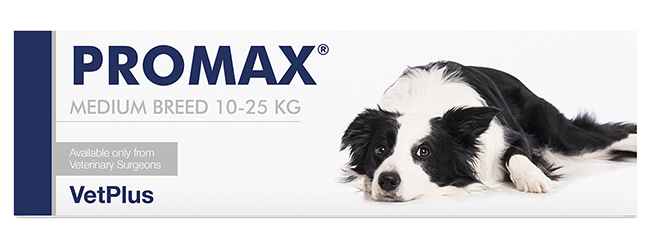 PROMAX MEDIUM BREED 18 ML - Newepa Srl