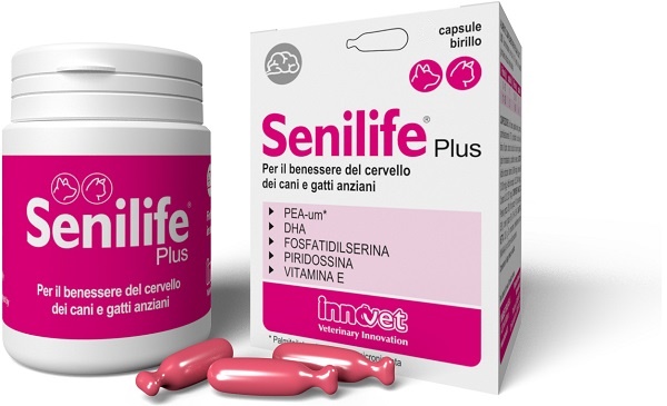 SENILIFE PLUS 30 CAPSULE - Newepa Srl