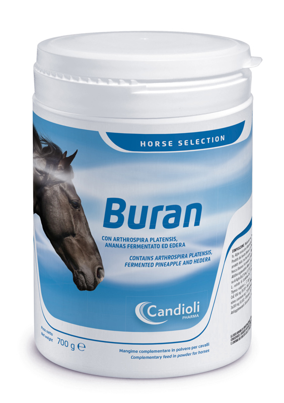 BURAN BARATTOLO 700 G - Newepa Srl